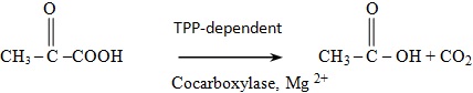 non oxidative decarboxylation of alpha keto acids